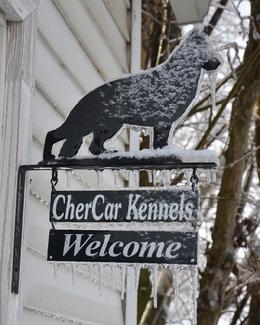 Cher Car Kennels in St. Johns, Michigan offers dog boarding, training and breeding services