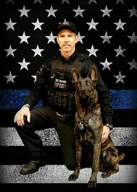 Sergeant Moore of the Osceola County (MI) Sheriff's Department and Dutch Shepherd K-9 �Chase� from our Cher Car Kennels Becker x Zuster 2014 litter