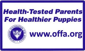Cher Car Kennels OFA certified breeding stock