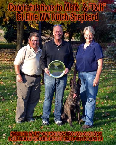 Dutch Shepherd Elite Nosework Title holder Laser Dragon von Cher Car (Colt)