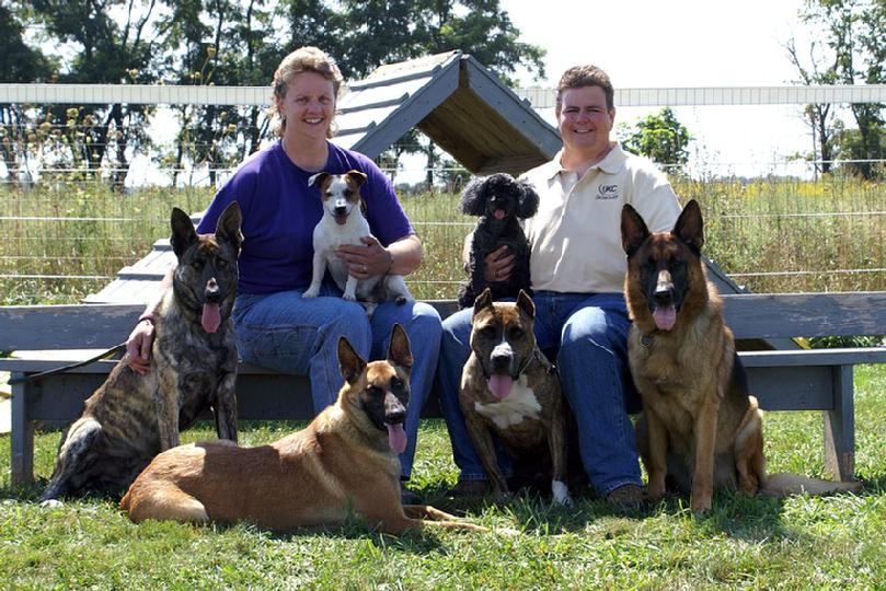 Dutch Shepherd, Belgian Malinois, Jack Russell Terrier, Poodle, American Pit Bull Terrier, German Shepherd