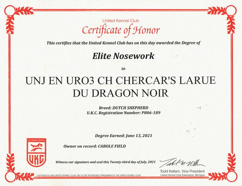 RBIS Multi-HIT EN URO3 UNJ CH Cher Cars LaRue du Dragon Noir's EN: Elite Nosework title certificate.